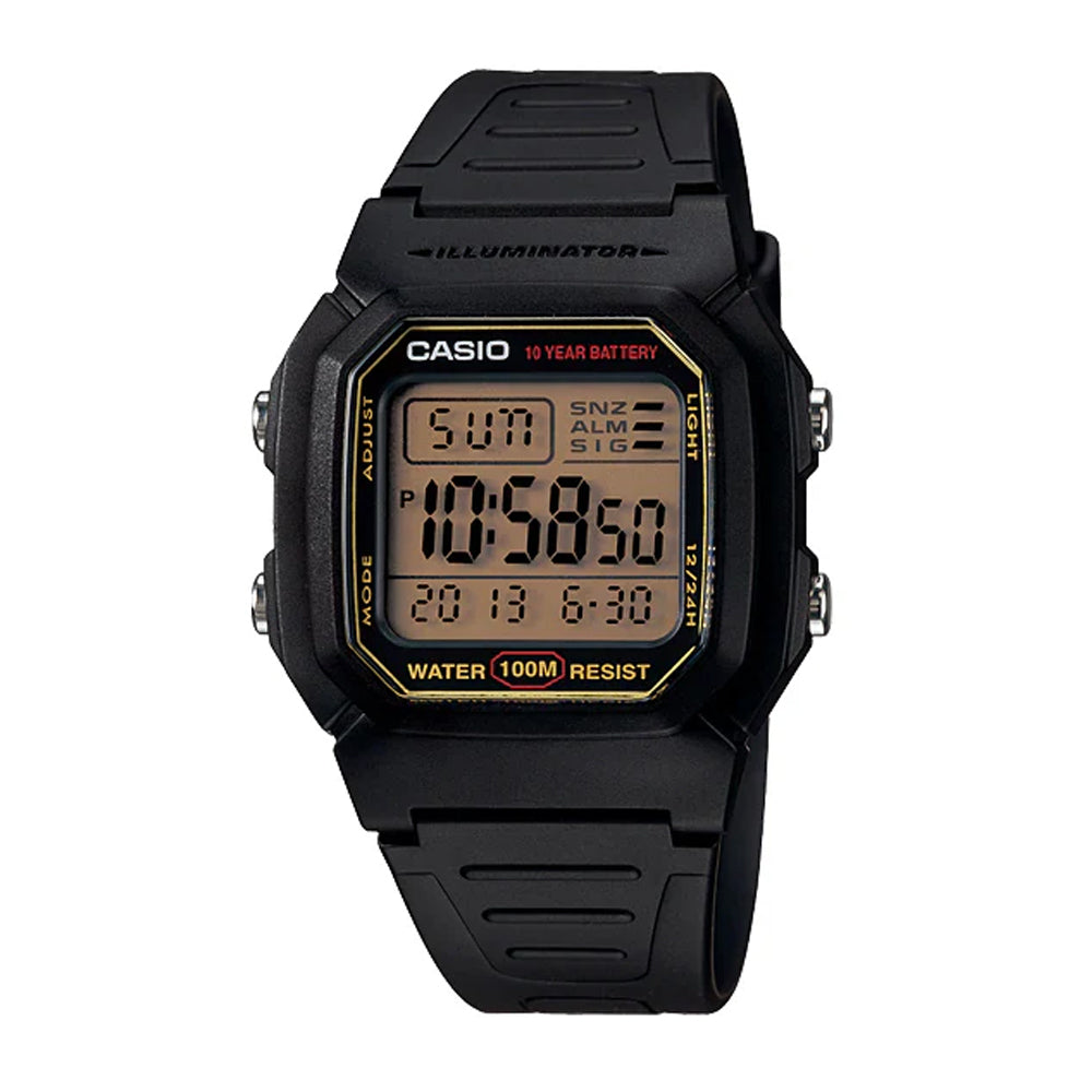 W-800HG-9AV