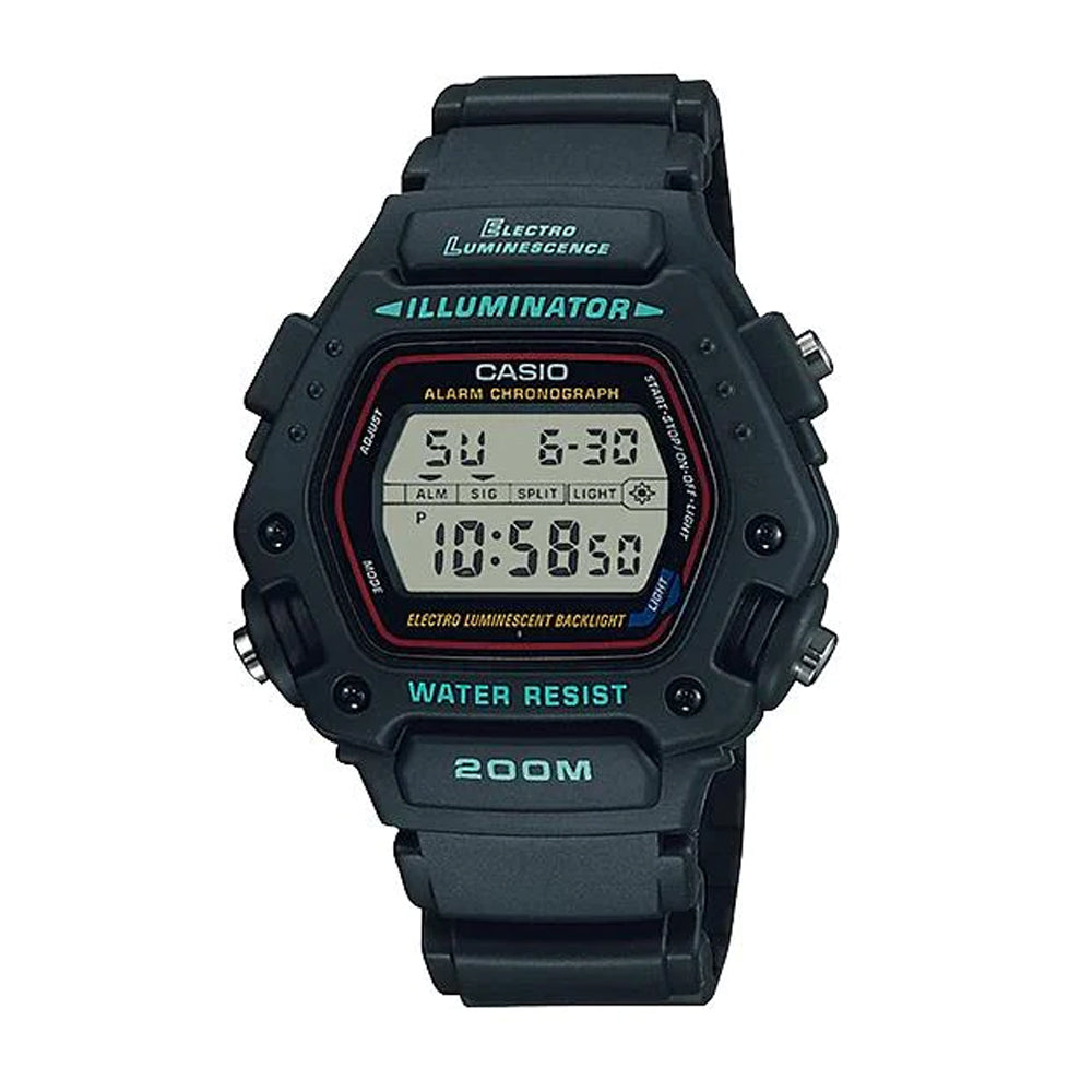 DW-290-1V
